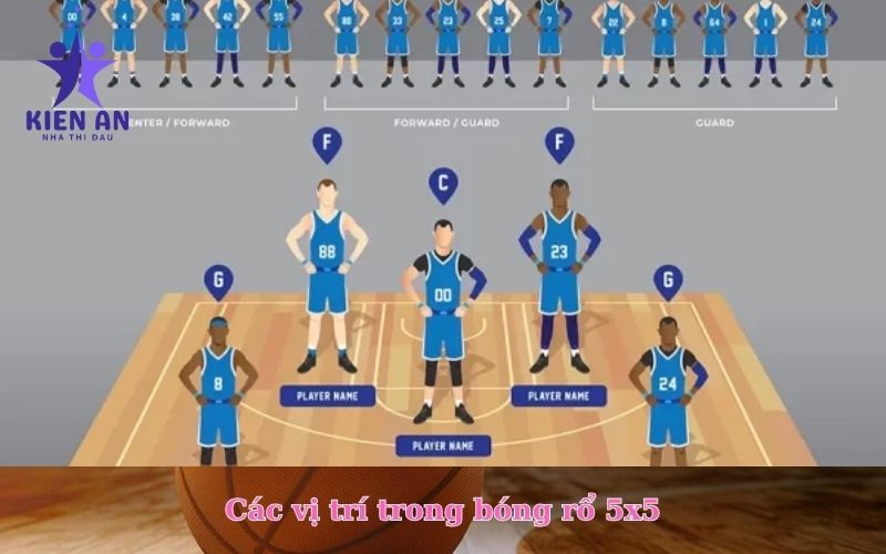 Các vị trí trong bóng rổ 5x5