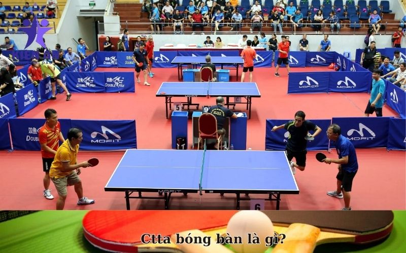 Ctta bóng bàn là gì