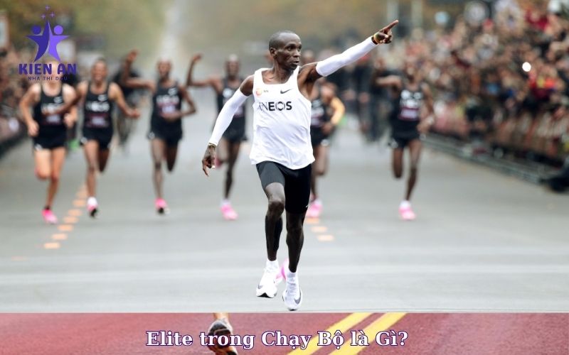 Elite trong Chạy Bộ là Gì
