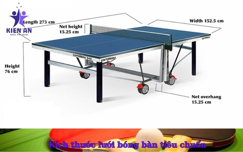 Kích thước lưới bóng bàn tiêu chuẩn