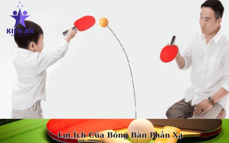 Lợi Ích Của Bóng Bàn Phản Xạ