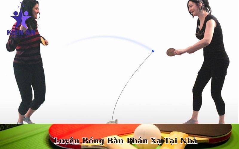 Luyện Bóng Bàn Phản Xạ Tại Nhà