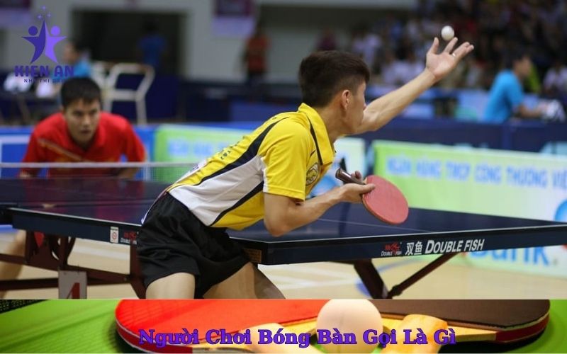 Người Chơi Bóng Bàn Gọi Là Gì