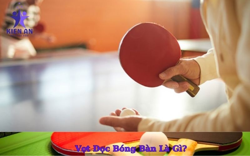 Vợt Dọc Bóng Bàn Là Gì
