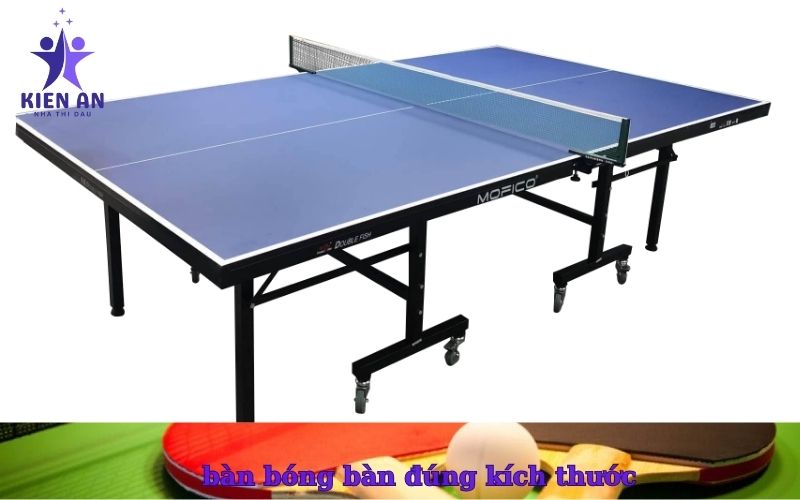 bàn bóng bàn đúng kích thước