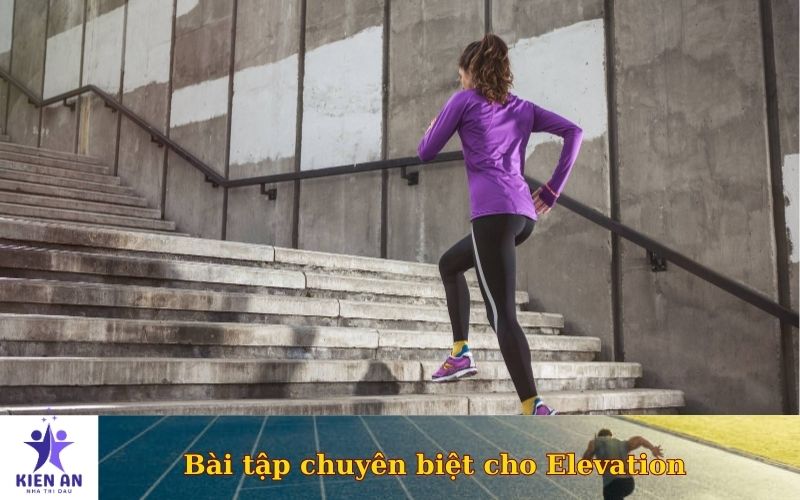 Bài tập chuyên biệt cho Elevation
