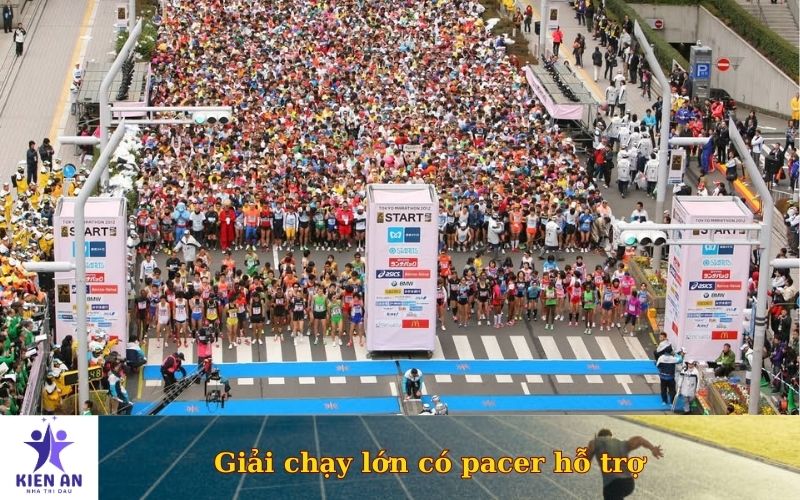 Các giải chạy lớn có pacer hỗ trợ