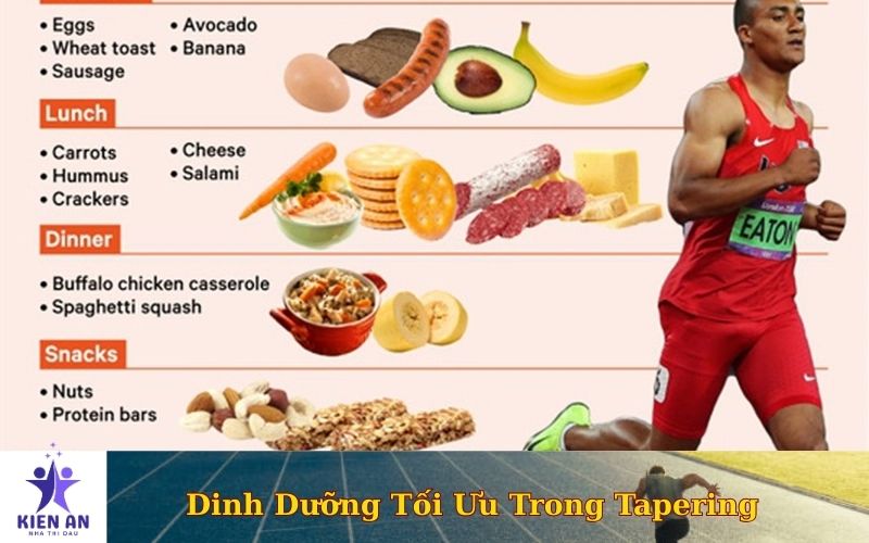 Dinh Dưỡng Tối Ưu Trong Giai Đoạn Tapering