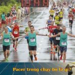 Pacer trong chạy bộ là gì? Tại sao lại cần Pacer