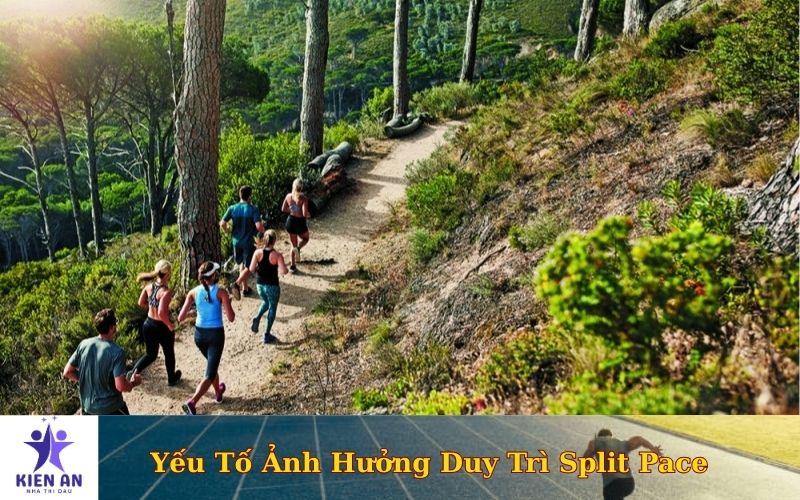 Yếu Tố Ảnh Hưởng Duy Trì Split Pace