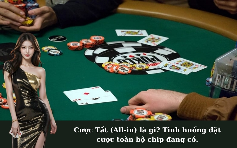 Cược Tất (All-in) là gì? Tình huống đặt cược toàn bộ chip đang có.