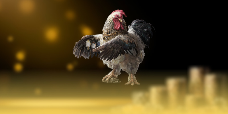 Đá gà Thomo