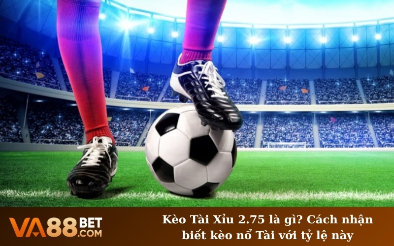 Kèo Tài Xỉu 2.75 là gì? Cách nhận biết kèo nổ Tài với tỷ lệ này