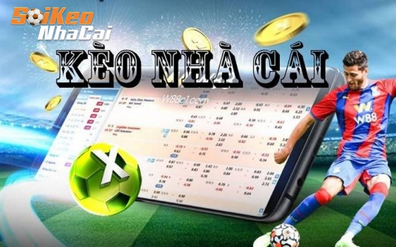 Tin soi kèo Bundesliga: Tỷ lệ kèo nhà cái hôm nay